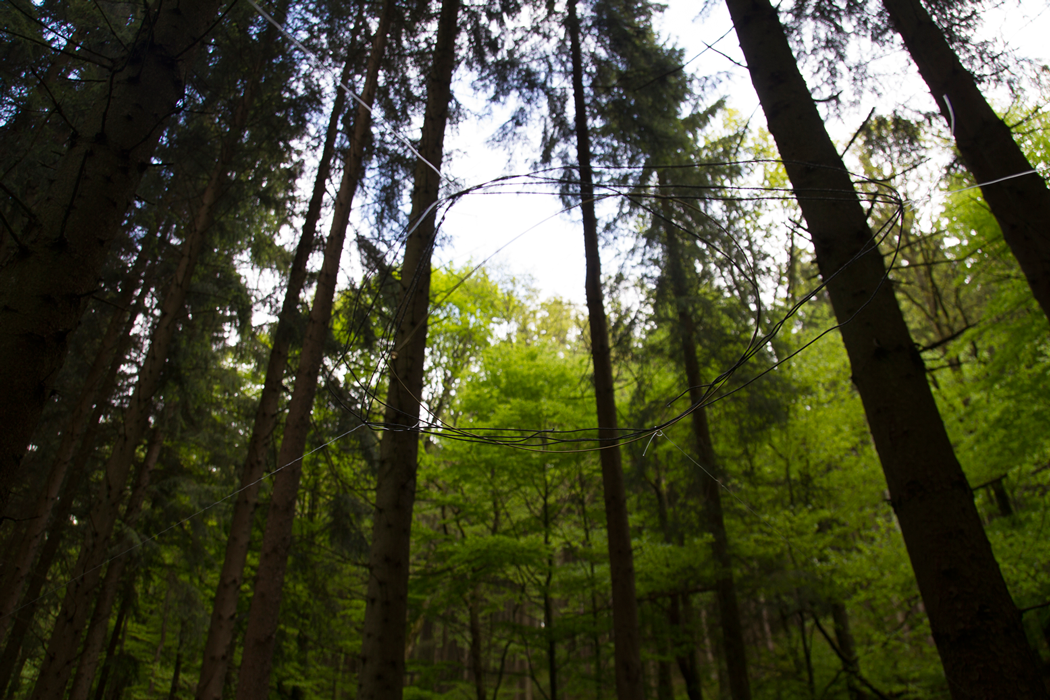 Installation in the forest